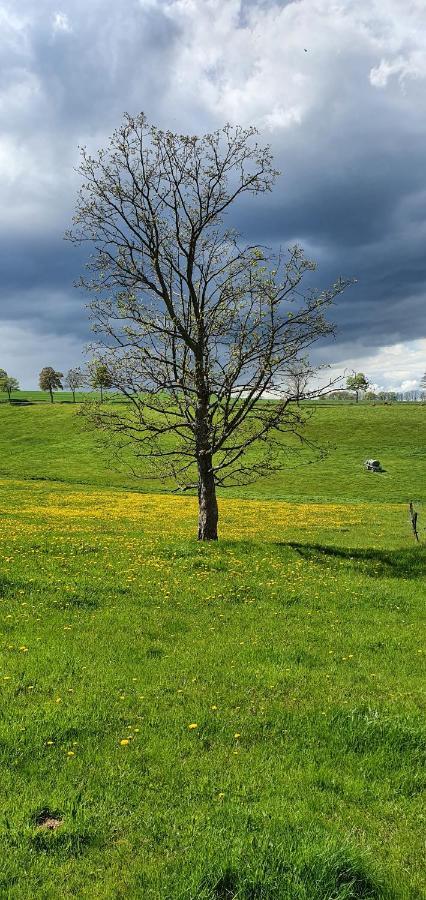 Frauenstein Zum Elleblickアパートメント エクステリア 写真